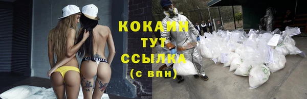 тгк Алзамай